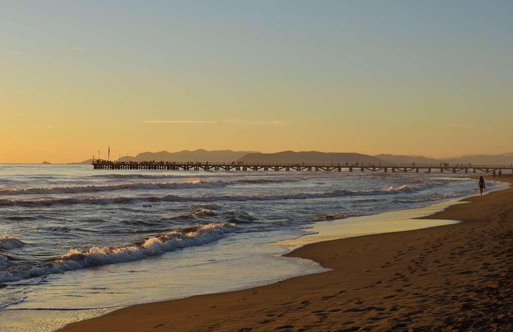 Villa Roma Imperiale Forte dei Marmi Natur bild